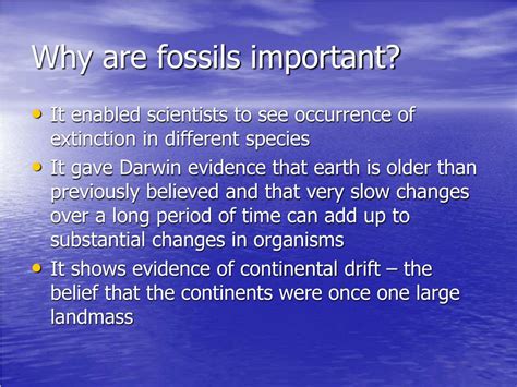 why is studying fossils important.